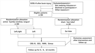 Randomized trial of transcutaneous auricular vagus nerve stimulation on patients with disorders of consciousness: A study protocol